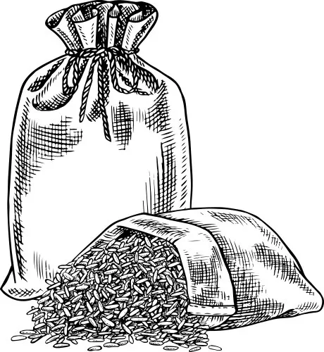 برنج طارم هاشمی فریدونکنار یکی از باکیفیتترین