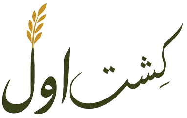 لوگوی کشت اول خرید آنلاین برنج طارم فریدونکنار